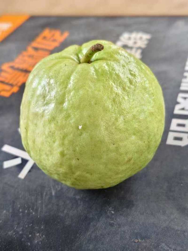 番石榴