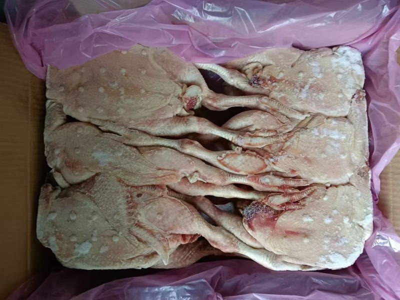 9.5公斤6-7只临期肉食鸡7-8吨，手续齐全低价出，