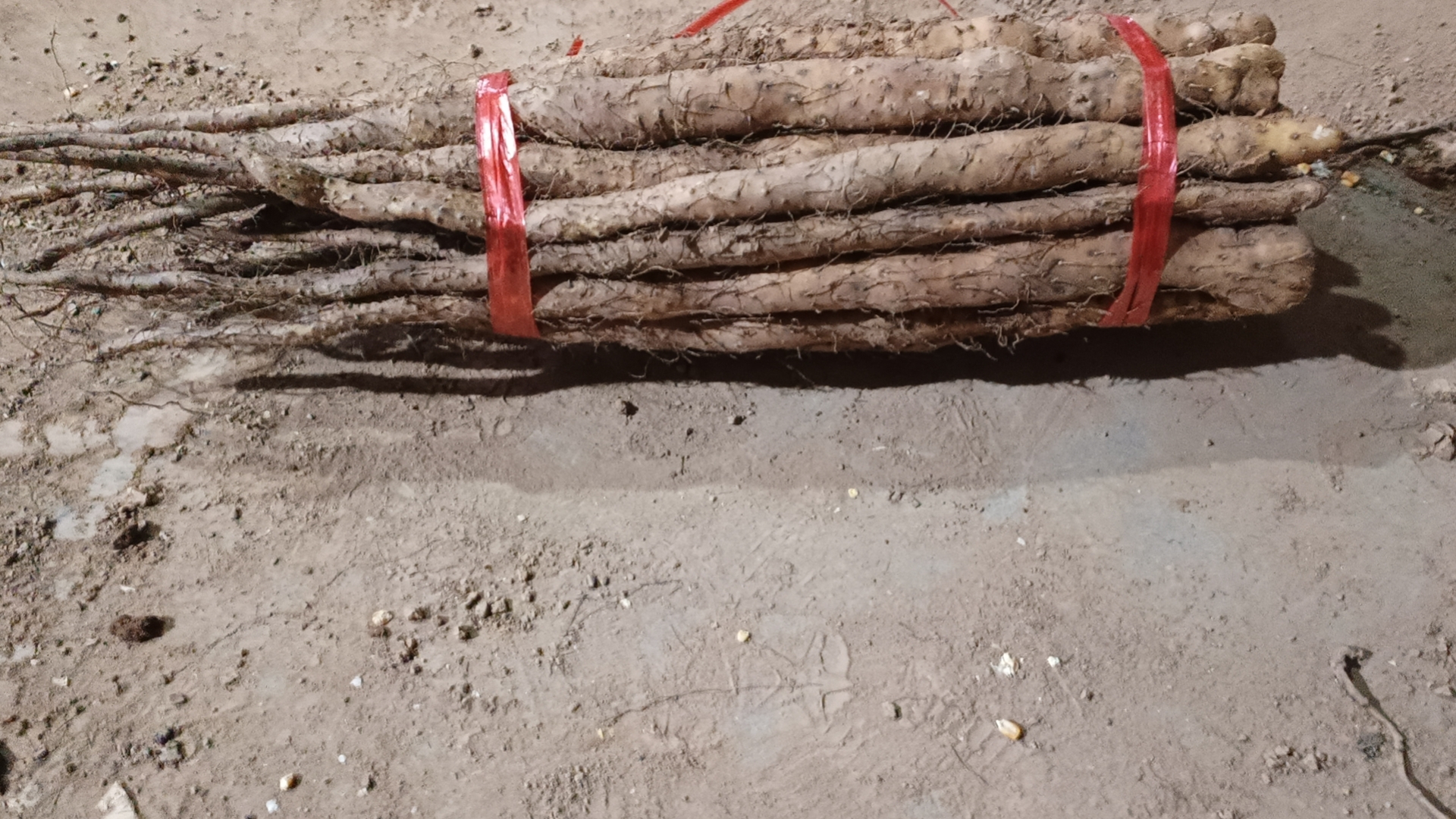 怀山药地理标志认证与药材对比图