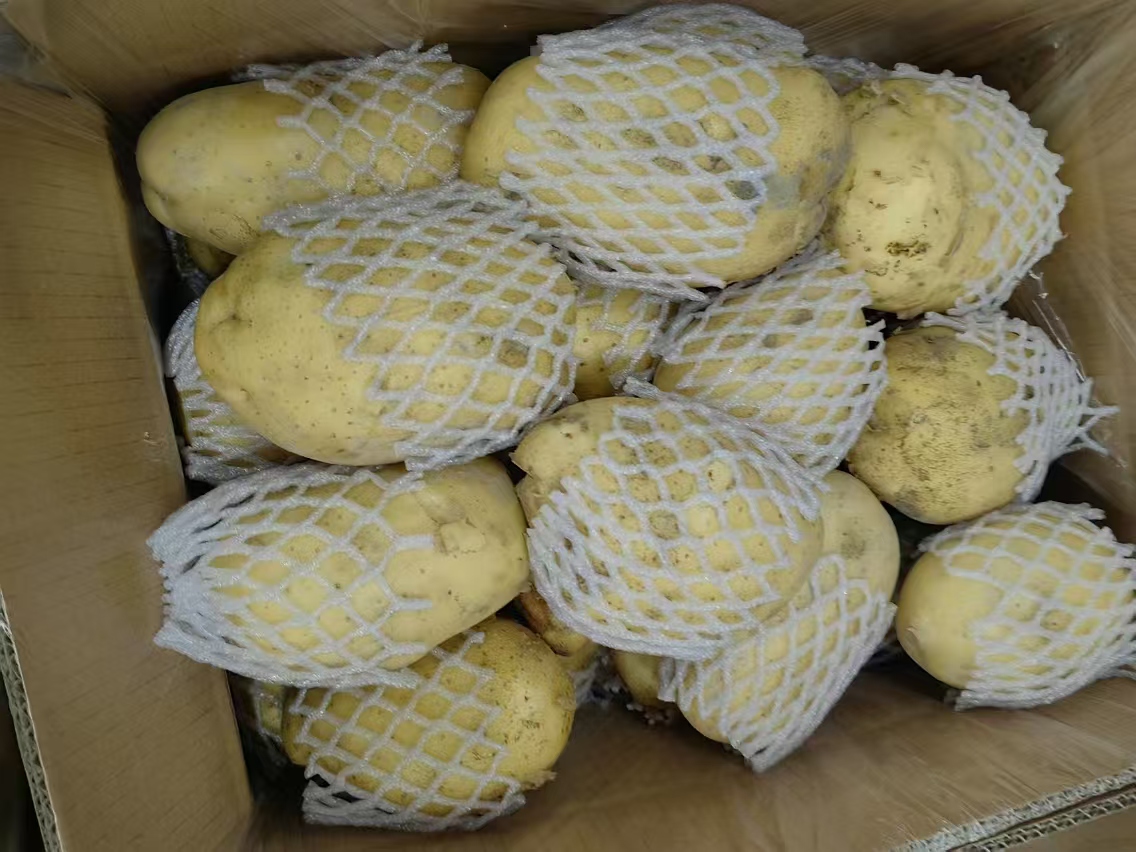 一个放置在厨房角落的棕色硬纸板箱,箱子外标注‘土豆勿压’字样,打开后可见内部土豆被报纸单独包裹,底层铺有干草,整体环境昏暗但整洁 家庭土豆储存箱示意图