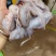 鹌鹑，现杀新鲜