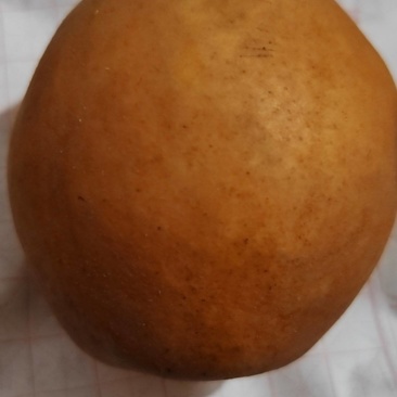 金翠香梨