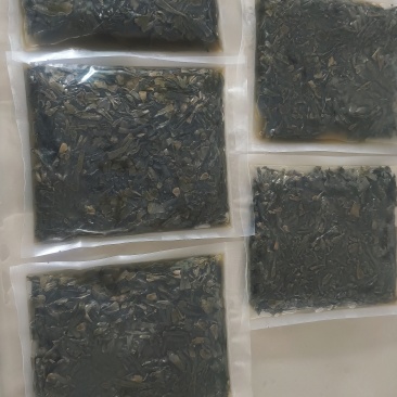 干巴菌