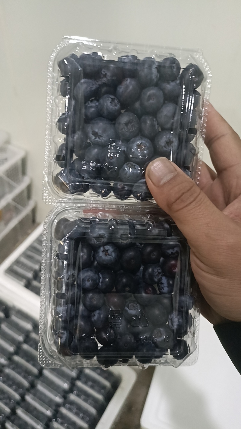 云南新鲜蓝莓，电商货，社区团购**，一件代发