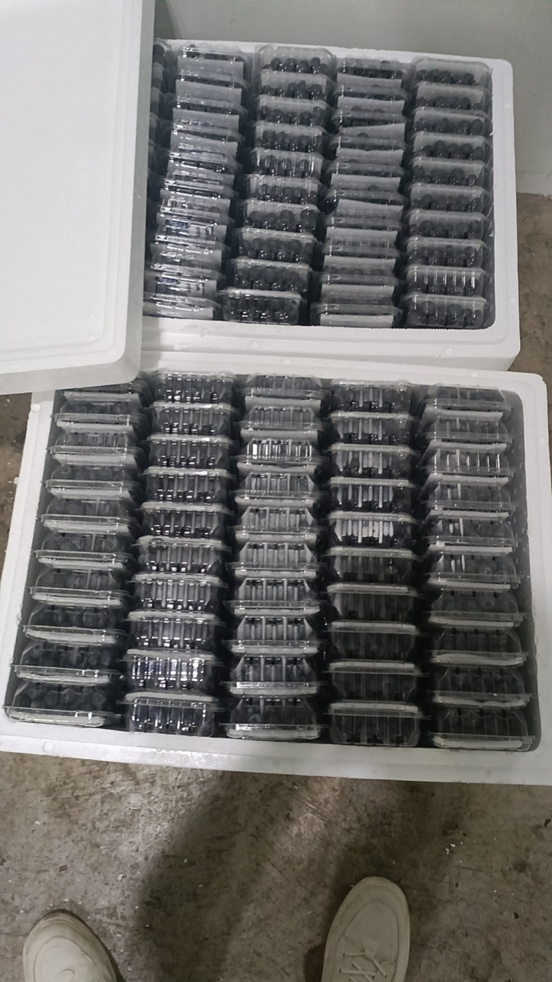 云南新鲜蓝莓，电商货，社区团购**，一件代发