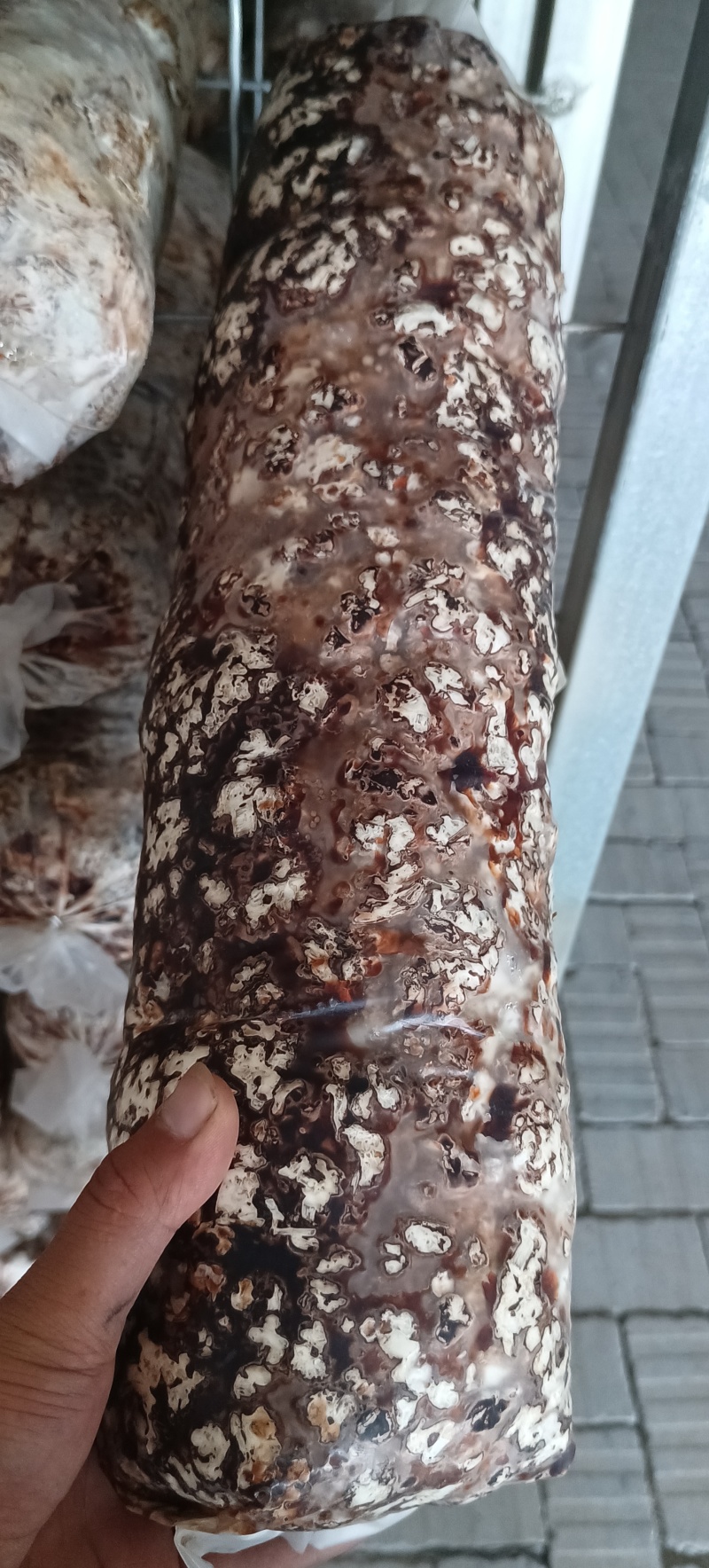 香菇菌棒