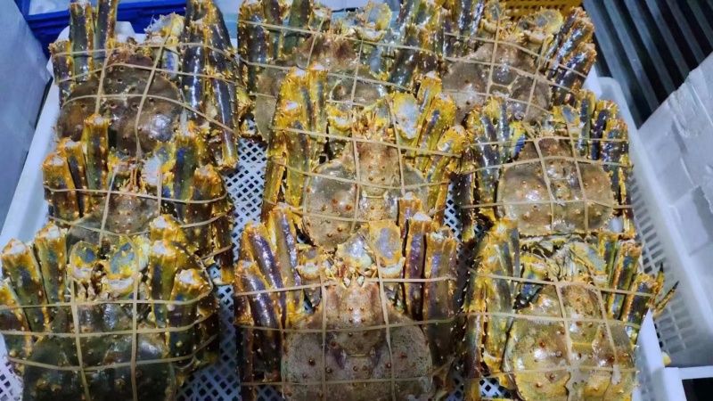 活冻帝王蟹，高品质，蒸出来跟活一样