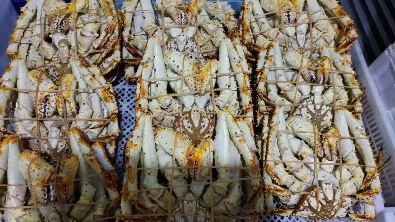 活冻帝王蟹，高品质，蒸出来跟活一样