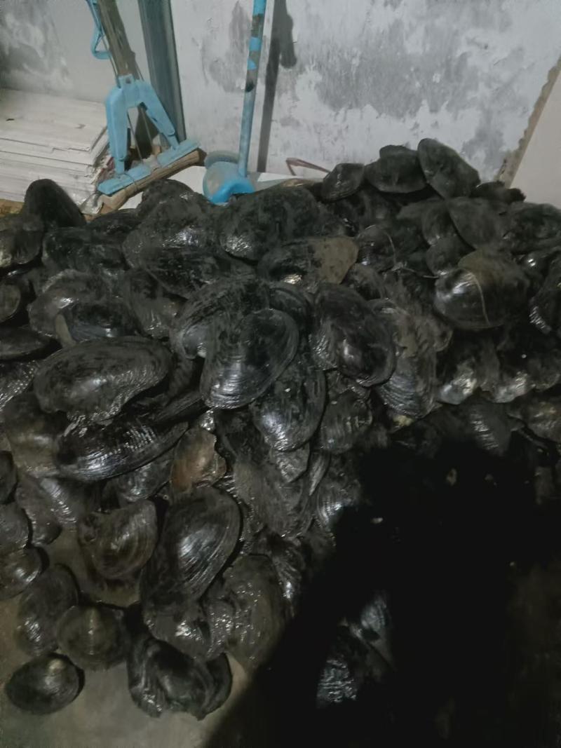 每天4-6吨