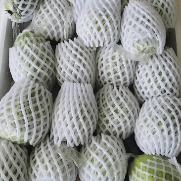 番石榴