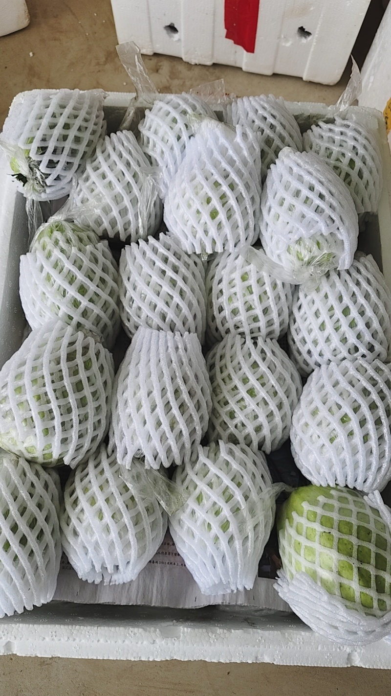 番石榴