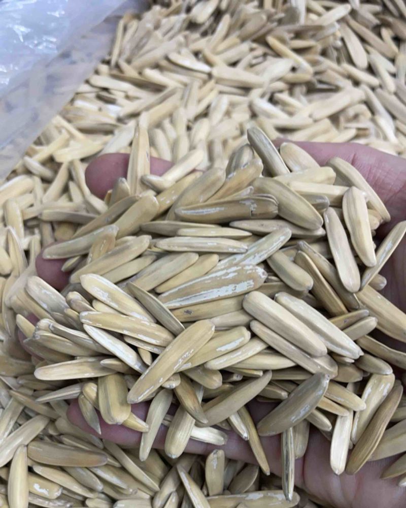 牙签瓜子大果