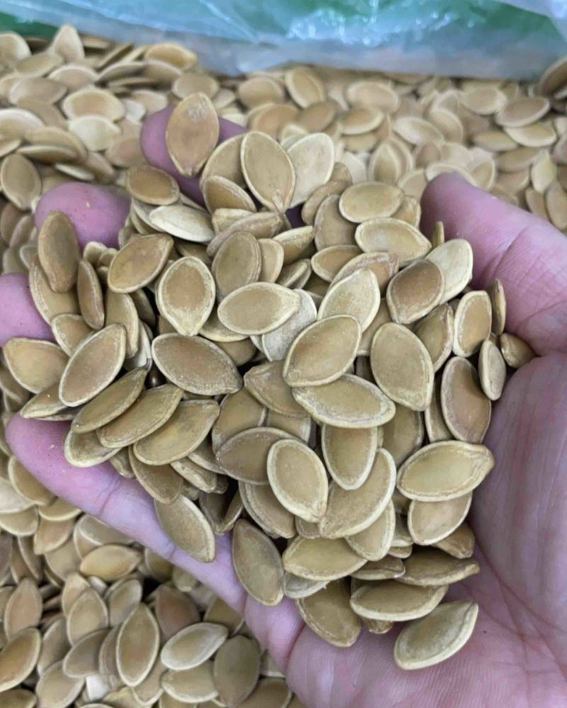卤味南瓜子