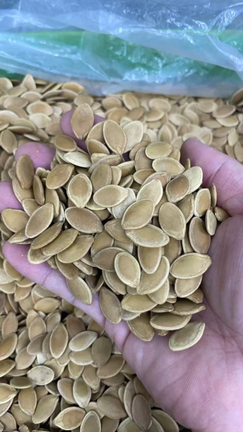 卤味南瓜子