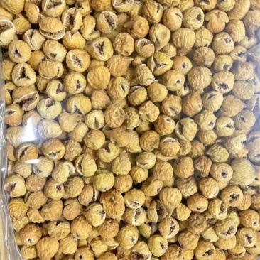 伊朗无花果开花不开花