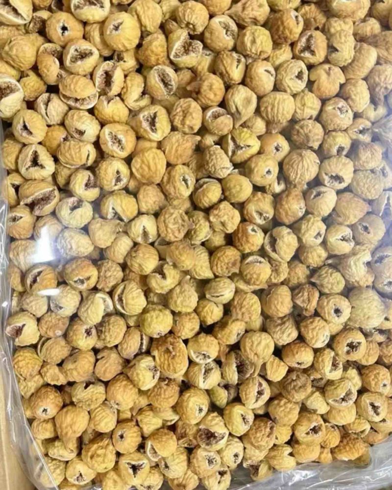 伊朗无花果开花不开花
