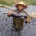 生态鱼花鲢