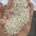 香米毛碎、香米抛光碎