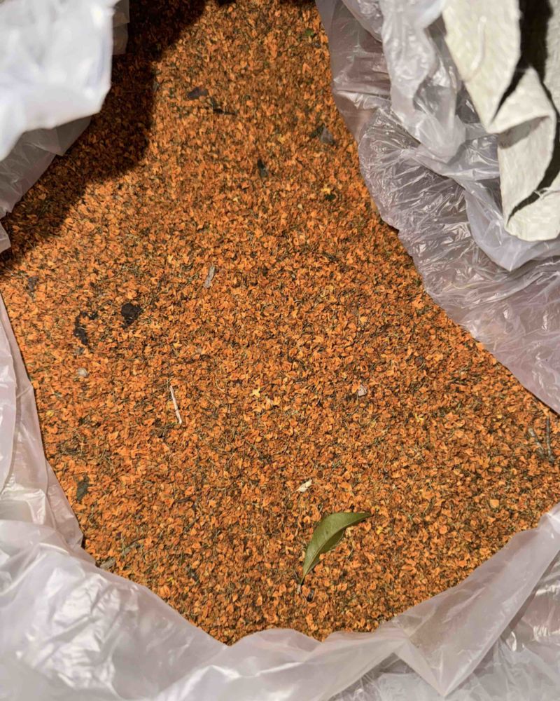 精品统货丹桂花，货源充足，感兴趣联系
