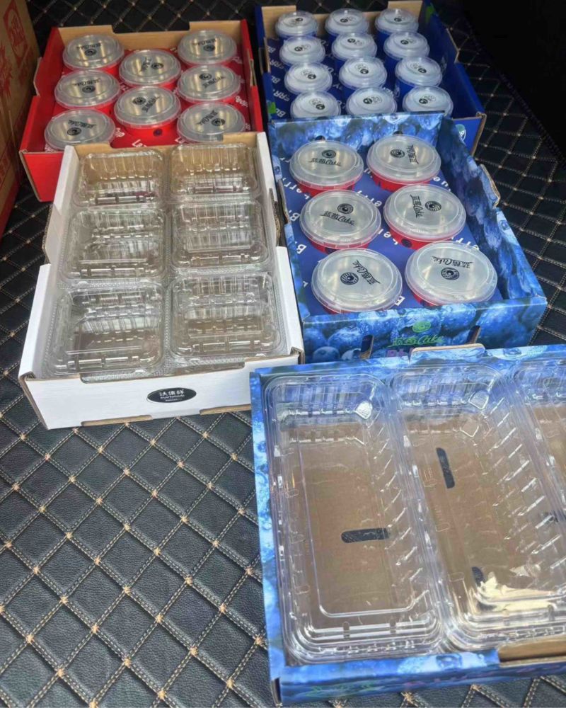 蓝莓包装盒包装盒常年供应厂家直发品质保证欢迎来电