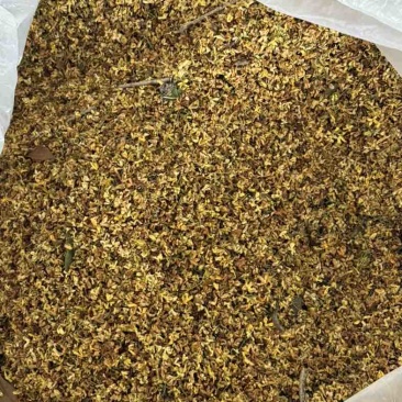 统货精品干桂花，批发清仓，有意私聊