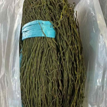 精品干豆角，豆角丝脱水长豆角干大量供应欢迎实地考察