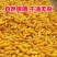24年新货干玉米粒量大上市，长期稳定供货年单起订量需要5