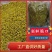 精品豆角粒粒脆