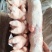 小猪头