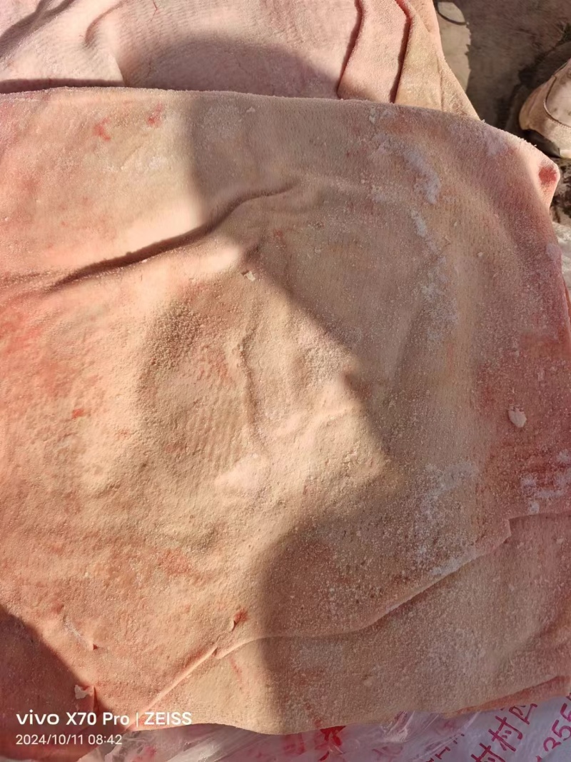 大皮现货15吨