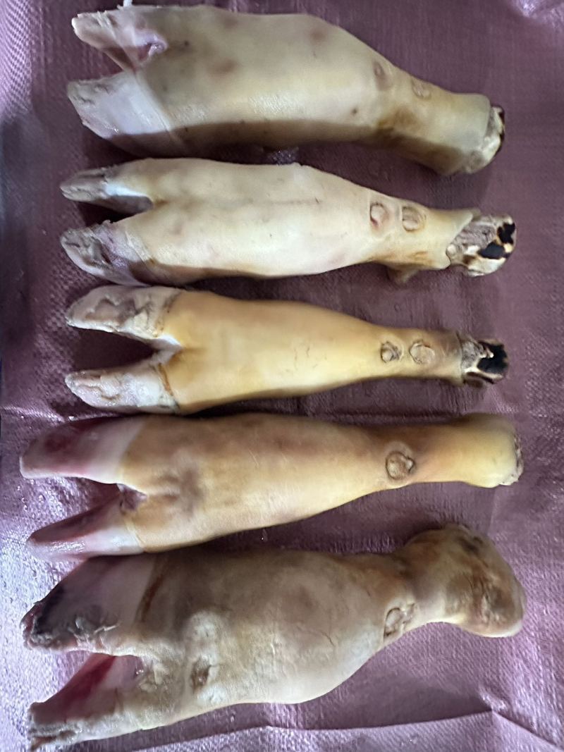 牛蹄，火烧毛牛蹄发货快质量保障