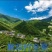 百花土蜂蜜来自于大山深处，蜜蜂采集野生百花酿造而成一年取一次