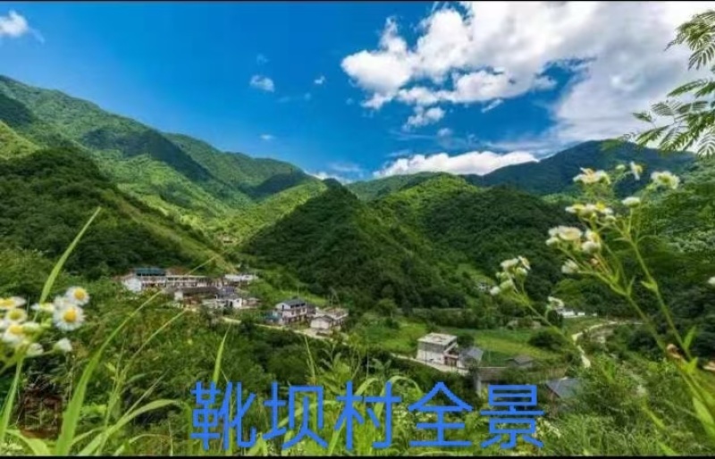 百花土蜂蜜来自于大山深处，蜜蜂采集野生百花酿造而成一年取一次