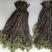 蕨菜熟腌蕨菜