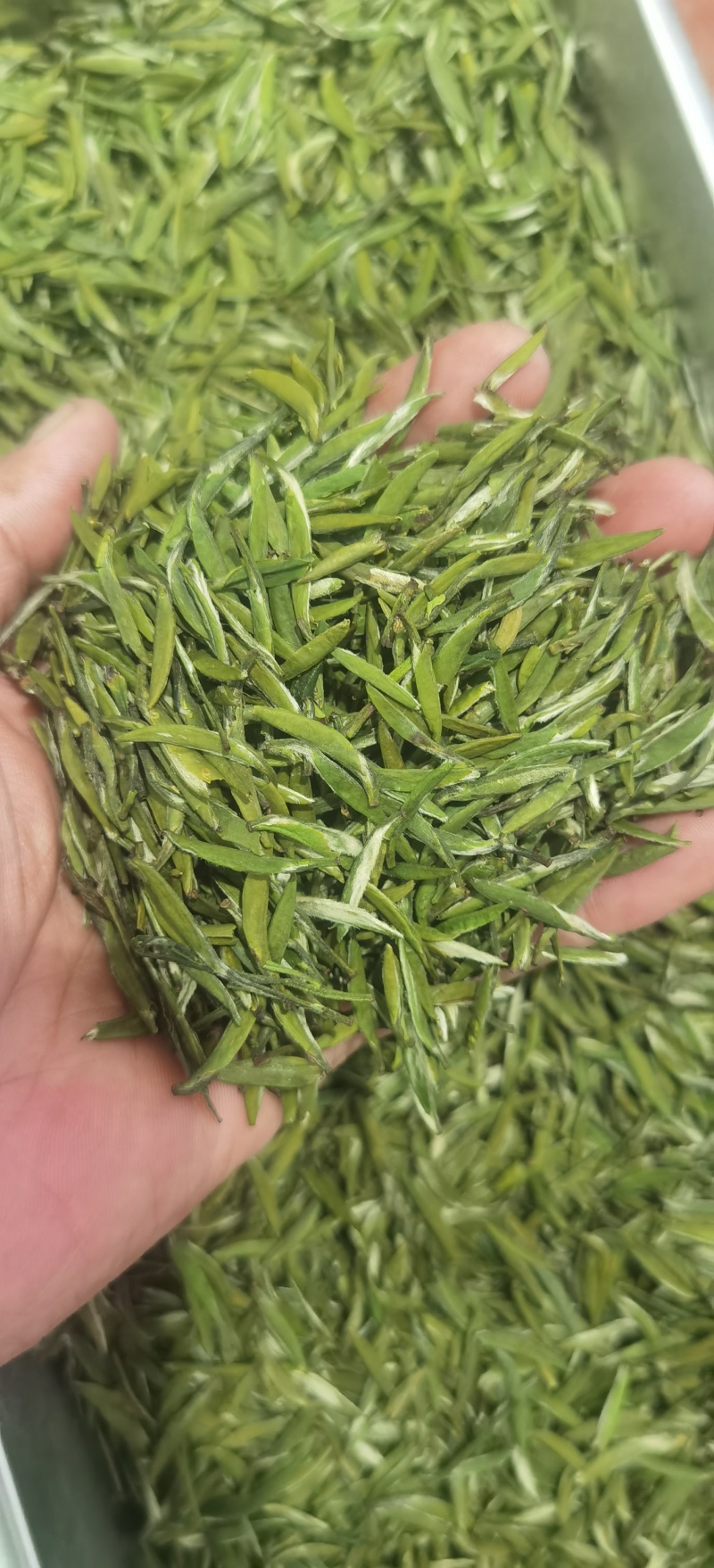 茶叶