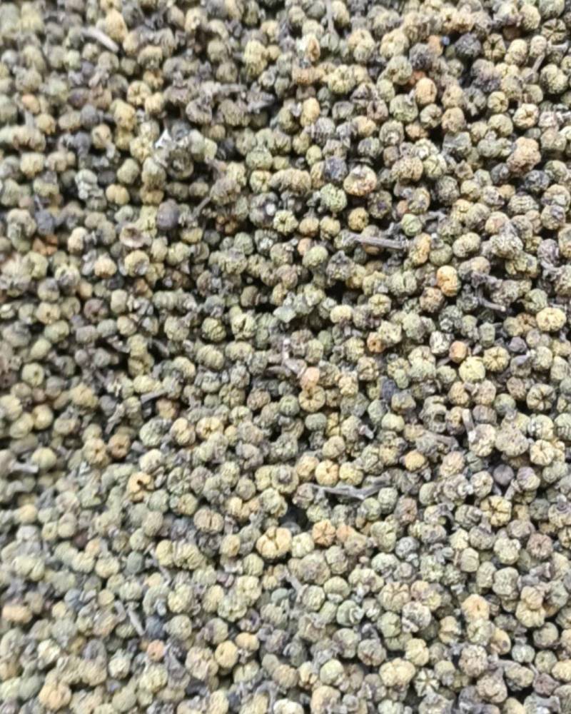 茣茱萸