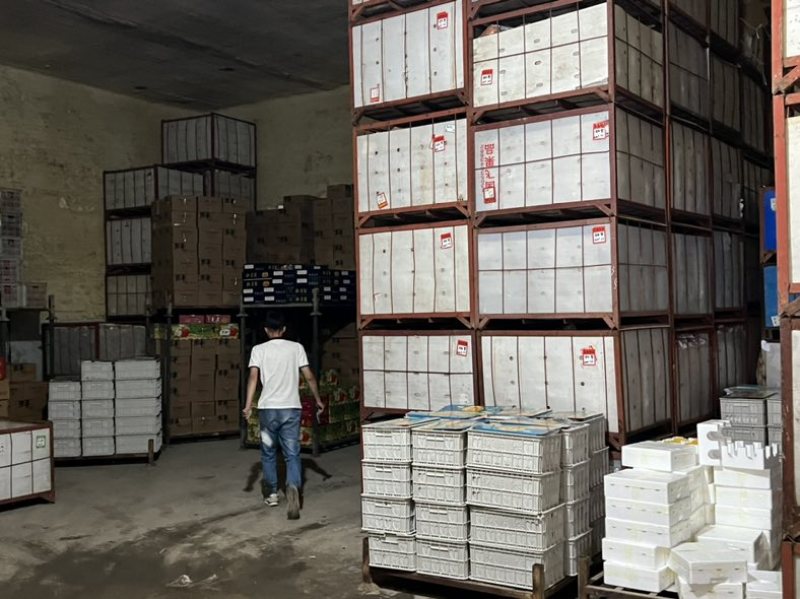烟台红富士量大可一件代发可批发欢迎客商可代办