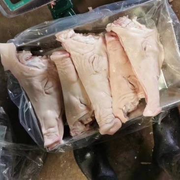 精修猪头厂家直销量大从优