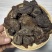 肉苁蓉切片小年份福利体验装