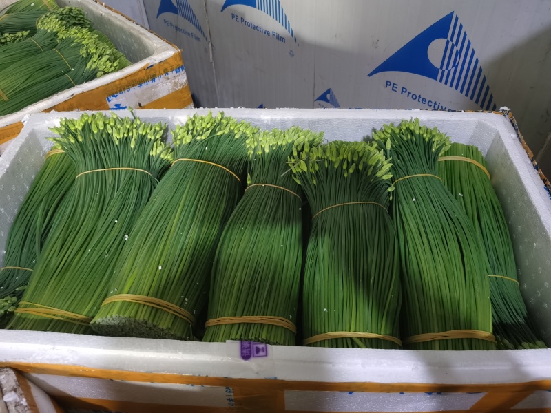 精品韭菜苔