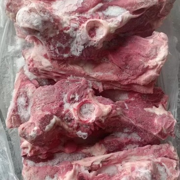 母猪尾叉骨