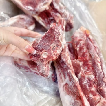 满肉羊蝎子