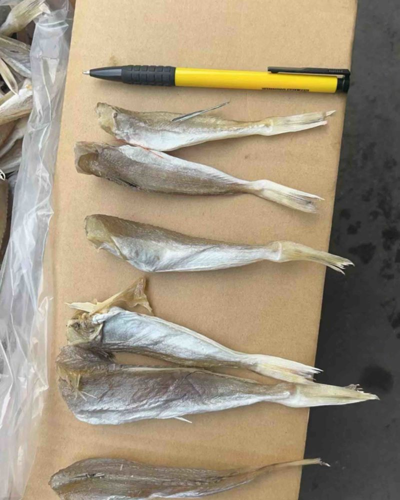 摆地摊，海味店，**北海特产红娘子鱼（淡干》