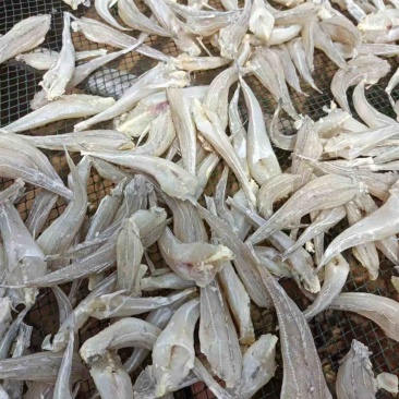 沙丁鱼，北海特产，适合摆地摊，跑江湖，展会纯正野生沙丁鱼