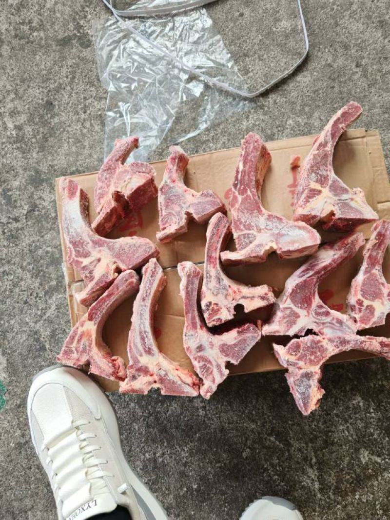 牛肋眼骨