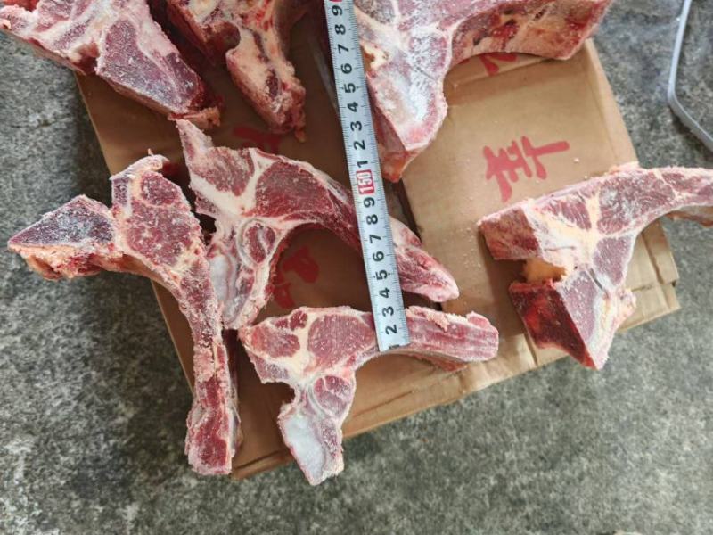 牛肋眼骨