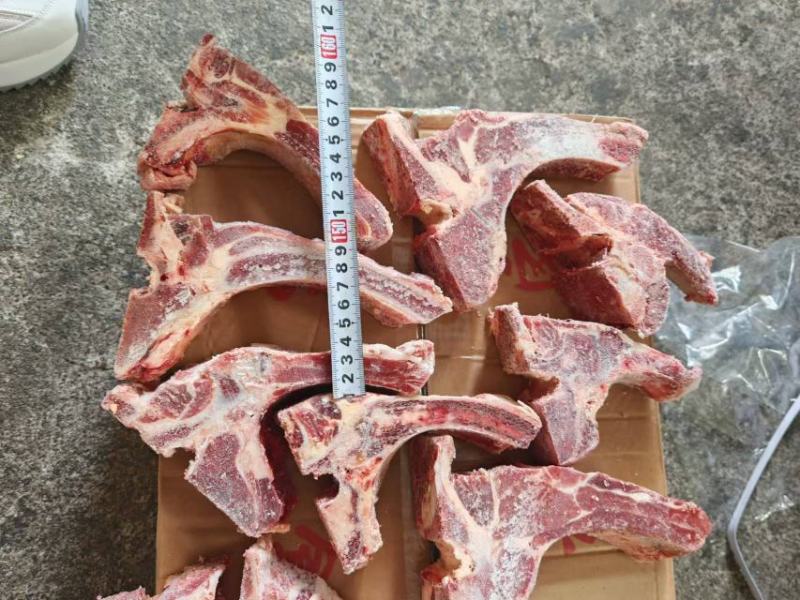 牛肋眼骨