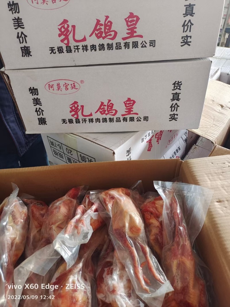 乳鸽厂家直销量大从优