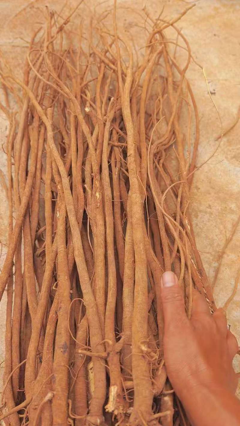小叶红皮千斤拔干货源头批发