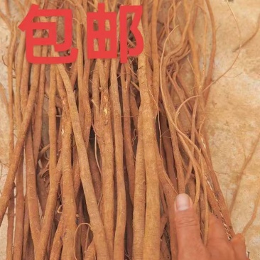 小叶红皮千斤拔干货源头批发